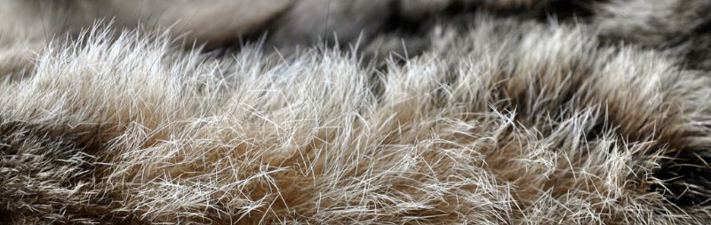 FurNova Wild Fur sample